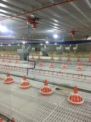 China Customized 110V Pan Feeding System For Broiler Chicken Pan Feeder factory