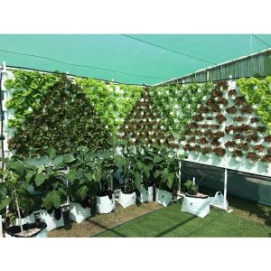 Film Type Vertical Hydroponic Growing System Single Span For 5m Roof Height