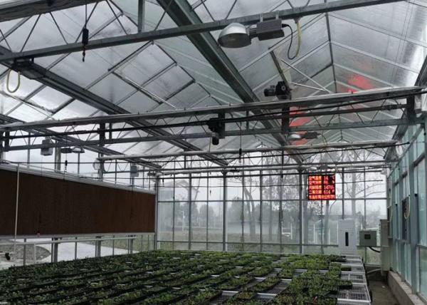 China Plastic / Poly Agricultural Greenhouse , Vegetable Tunnel Multi Span Greenhouse factory