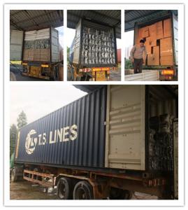 China Reliable Shenzhen / Guangzhou / Hong Kong /Foshan Shipping Agent factory
