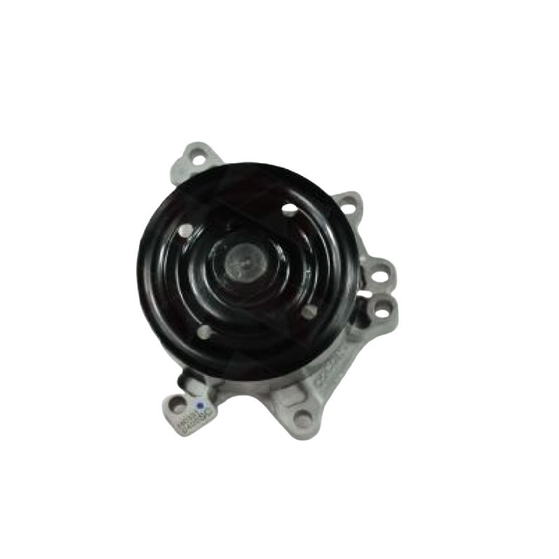 Geely Global Lingyun Geely Automobile Yema Engine OEM1016050737 Water Pump