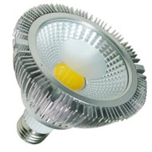 China 12W COB E27 led par30 light CE&amp;RoHS approved factory