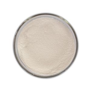 China Baking Industry Enzymes 100000U/G Amylase Enzyme For Bread factory