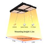 1000W Indoor House Plant Lights 4x4 Grow Light