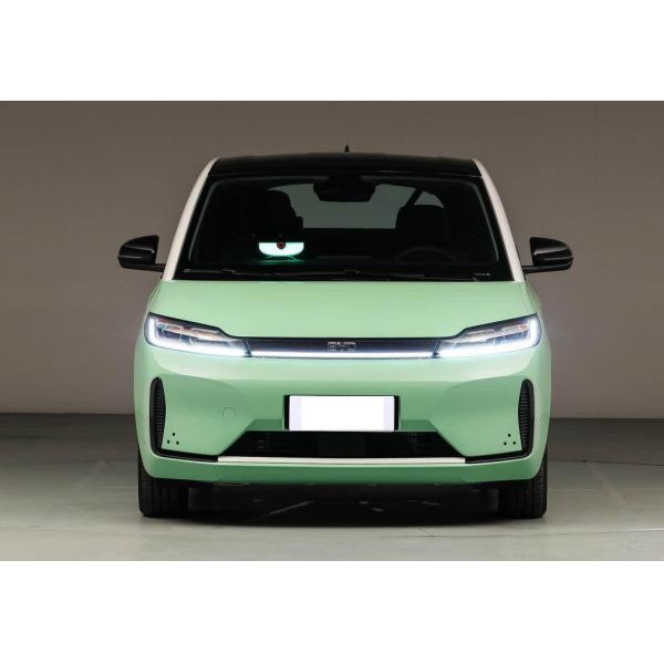 China Hatchback Electric D1 BYD EV Car 418km LFP Battery factory