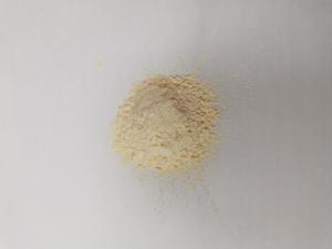 China HALAL Creamy To Light Yellow Dehydrated Garlic Powder 80mesh factory
