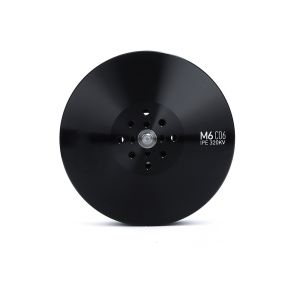 M6C06 IPE Anticorrosive Brushless DC Motor