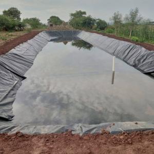 China 500 Micron Smooth HDPE Geomembrane for Aquaculture in Indonesia Fish Pond Liners factory