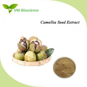 China OEM Camellia Seed Extract Anti Inflammatory Herbal Extraction factory