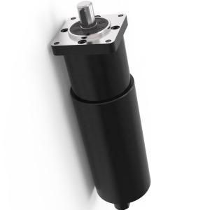 China 59mm High Torque Dc Motor 24v Bldc Gear 18rpm 97 Speed Ratio Output Speed factory