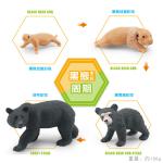 Black Bear Polar Bear Life Cycle Figure Model Toy For Boys Girls Kids