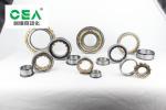F227970 F208801.4 Needle Roller Bearing Pin Double Row Cylindrical Ball Bearing