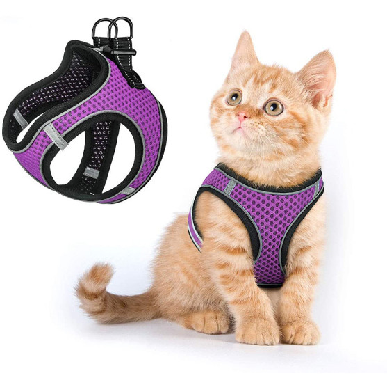 xl cat harness