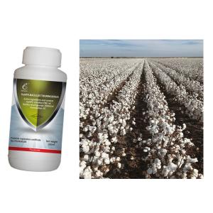China Spray HaNPV Pure Biological Preparation 10 Million PIB/ML 2000IU/ML Bt Kill Cotton Bollworm factory