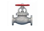 2 Inch Stainless Steel Check Valve Steam Flange Stainless Steel 1/2 Ansi Globe