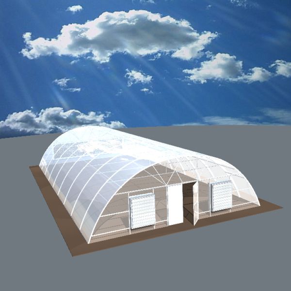 Customize Agricultural Greenhouse Poly Film Greenhouse For vegetable growing