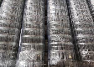 China Iso Passed Bwg12 2.5mm Gauge Galvanized Iron Mesh factory