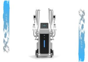 China Four Cryolipolyse Handles Cool body fat freezing Sculpting coldlipolysis vacuum cryolipolysis machine factory