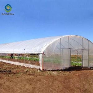 Galvanized Steel Hoop Style Greenhouse Single Span Tunnel Strawberry Greenhouse