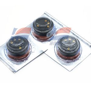 H2S-B1 Gas H2S Sensors Hydrogen Sulfide Sensor Portable Detection Instruments