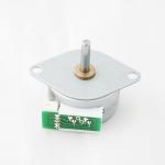 24V AC Synchronous Motor , 24 Pole Synchronous Permanent Magnet Stepper Motor