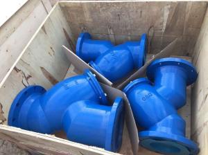 China Y strainer flanged factory