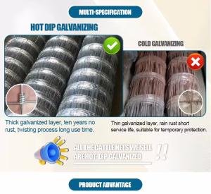 China High Quality China Manufacture Electric Fence Cattle Deer Fence On Farm For Goat Cattle Deer Using factory