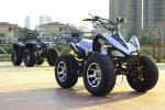 250cc 4 Stroke Single Cylinder Water Coole Four Wheel Atv 77km/H