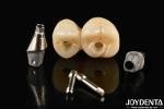 Accurate Fit Implant-Supported Crown Bridge System With Resistance To Stains And