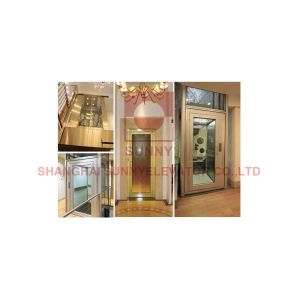 China Building Home Villa Elevator Lift Low Noise Machine Roomless on sale