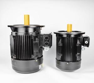 China Frequency Conversion 100kw Permanent Magnet Motor PM OEM ODM factory