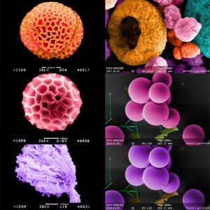Five Axes Stage Scanning Electron Microscope Lab With Tungsten Heated Electron