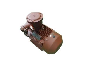 China 315L1-2-160kW Explosion Proof Electric Motor YBX3 2 Pole 3 Phase Motor factory