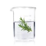 84604-14-8 Rosmarinus Officinalis Leaf Water Anti Aging Rosemary Floral Water