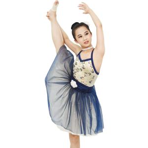 China Ballet Dance Tutu Dress Competition Performance Wear Sweetheart Bodice Ballet Costume fairy princess factory