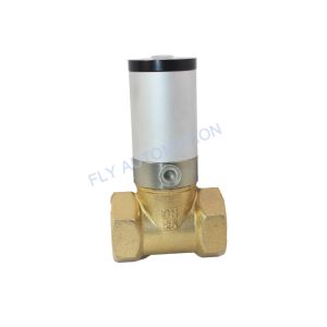 Q22HD-25 DN25 Q22HD-15 Pneumatic Solenoid Valves