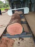 60 Inch 1600mm Wood Portable Sawmill Machine For Cutting Tree Trunk
