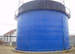Vertical Cylindrical Biogas Digester Equipment , Biogas Storage Cylinders