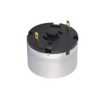 6V 12V 24V Carbon Brushed DC Electric Motor Low Noise Φ33mm RK-520TB For