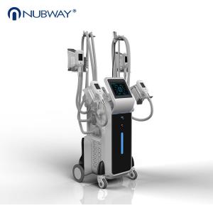 China FDA approval nubway most professional -15 degree best result fat freezing slimming machine factory