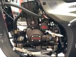 Front Shock Absorber 200 cc Gasoline 3 Wheel Cargo Tricycle for Long-lasting
