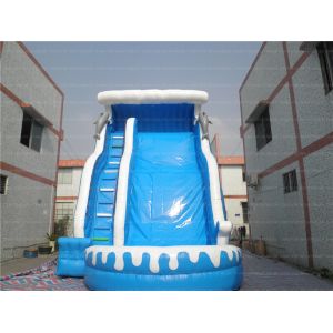 Shark Inflatable Water Slide (CYSL-37)
