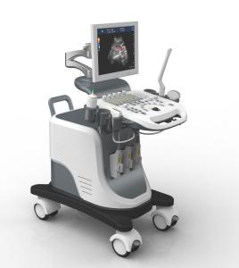 China Full Digital Trolley 4D Echo Ultrasound Machine For Gynecology factory