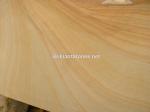 Yellow Wooden Sandstone Slab(Random Veins)