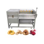 220V/380V Industrial Fruit Vegetable Brush Potato Carrot Peeler Machine from