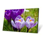 1.8mm Narrow Bezel CVBS 700cd/m2 LCD Video Wall 185W