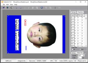 China Windows System 3D Lenticular Printing Software Free download For 3D Flip Morph Zoom Spin Effect on injek and UV print on sale