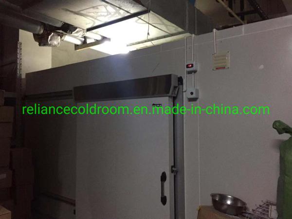 Cold Storage Blast Freezer Walk in Cooler/Chiller/Freezer for Beef Meat Fish -10