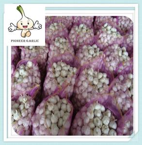 China Fresh Normal White Garlic Fresh Garlic New fresh chinese white garlic factory