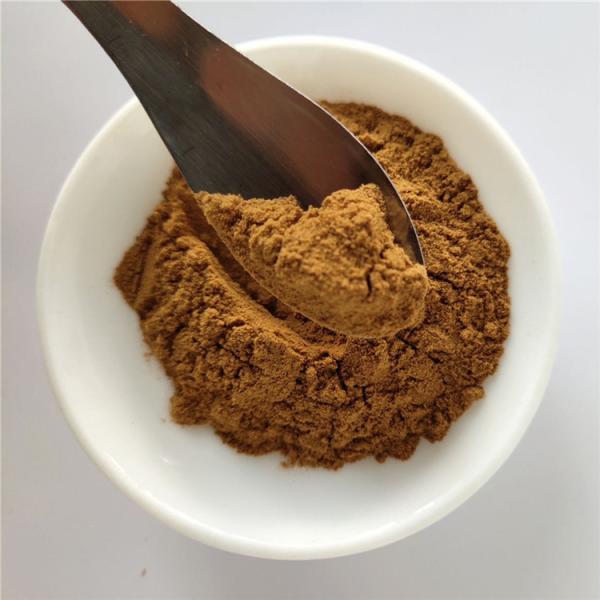 Herbal Medicine Figwort Root Extract For Detoxification